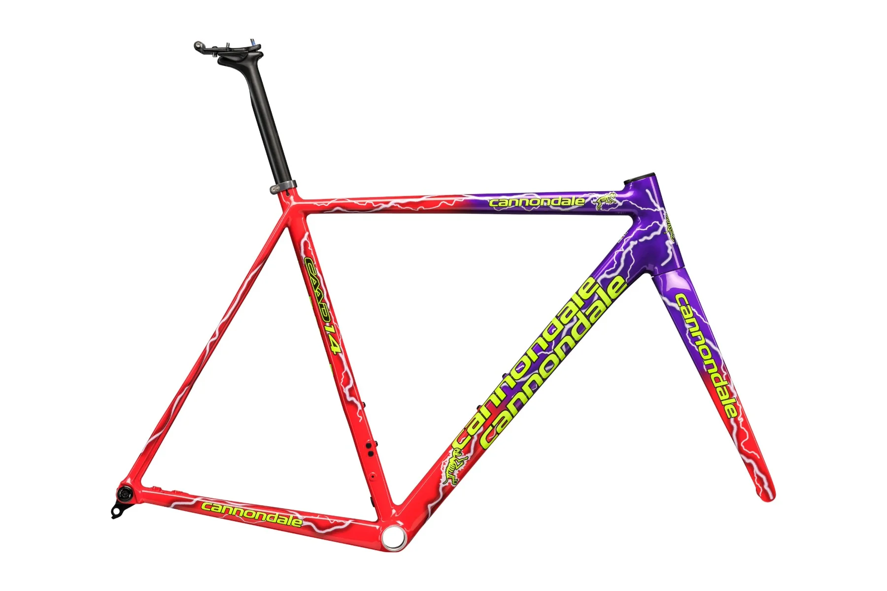 CAAD14 Team Dream Frameset