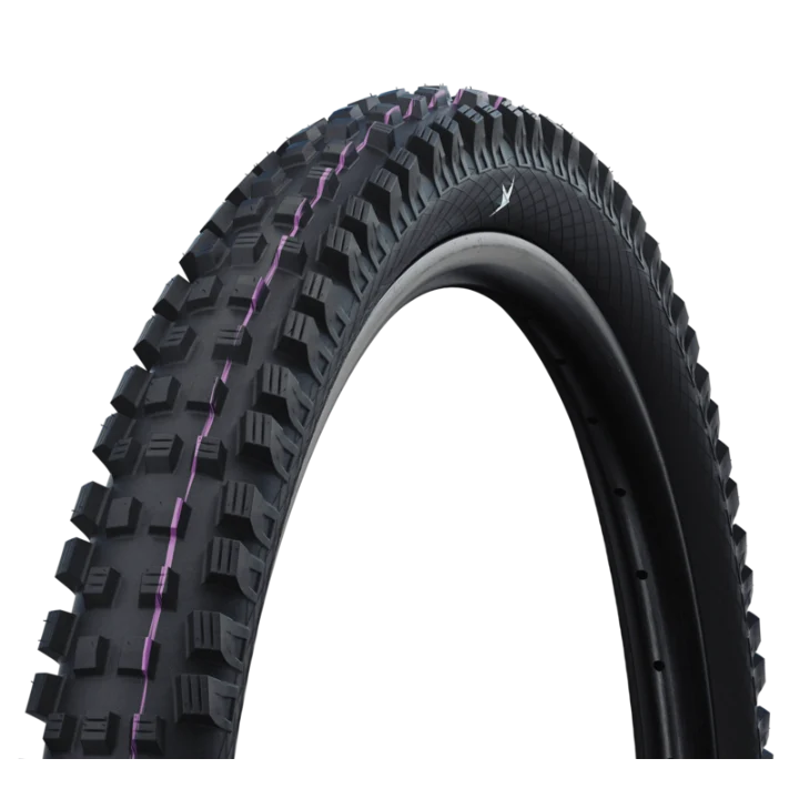 Magic Mary TRAIL & GRAVITY PRO Radial Tire